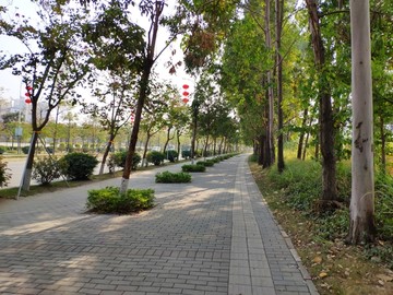 林荫绿道