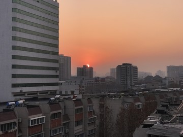 夕阳红