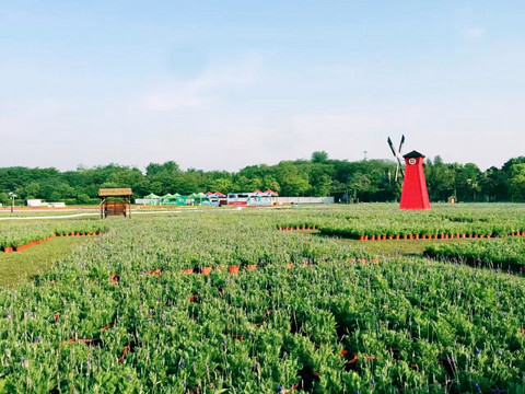 田园风景