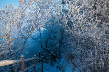 老君山雪景