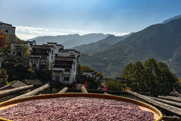 婺源篁岭景区晒秋美宿人文景观