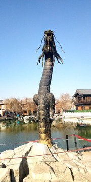 龙