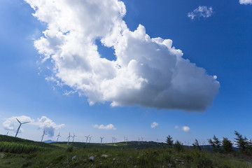 风景