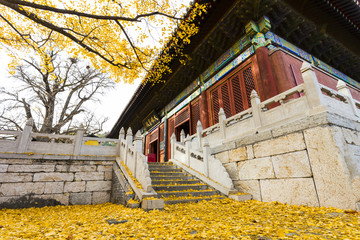 红螺寺