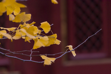红螺寺