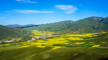 卓尔山油菜花