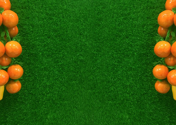 绿草墙