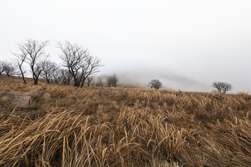 荒山云雾