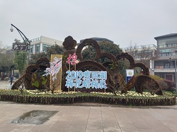 绿植