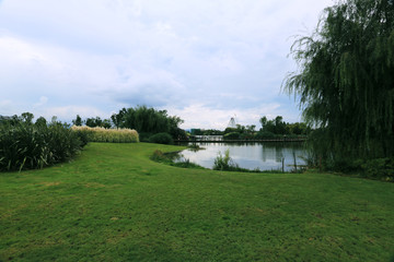昆明湿地公园