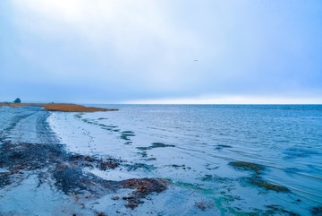 深秋的波罗的海海滩