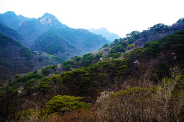 千山风景区弥勒宝塔与山峰山谷