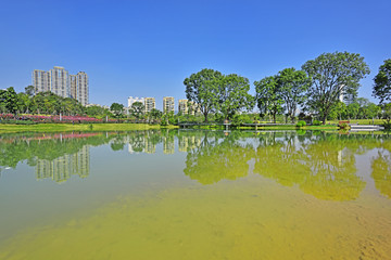 深圳香蜜公园