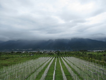 苍山