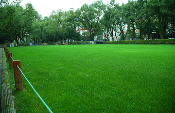 校园草地绿化