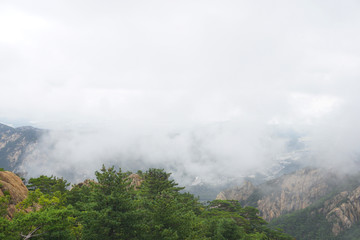 韩国雪岳山植被和云雾