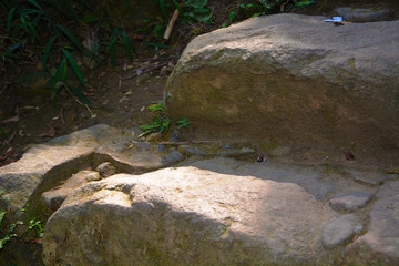 山间石阶