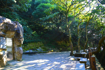 景区山路