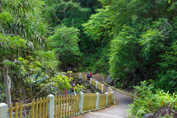 深山小路