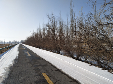 雪后林荫道