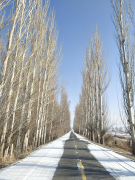 雪后公路