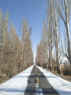 雪后公路