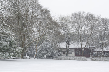 武汉雪景风光
