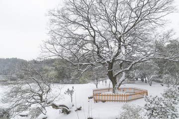 武汉雪景风光