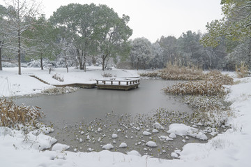 武汉雪景风光