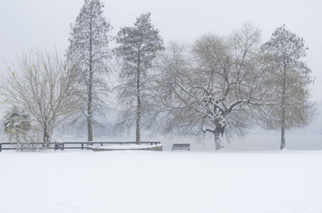 武汉雪景风光