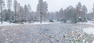 武汉雪景风光