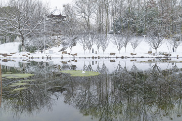 武汉雪景风光