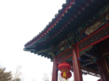 大观园
