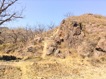 山