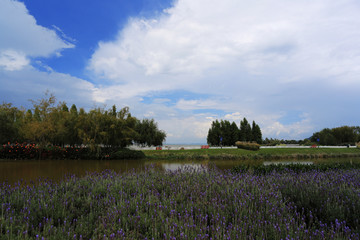 昆明湿地公园