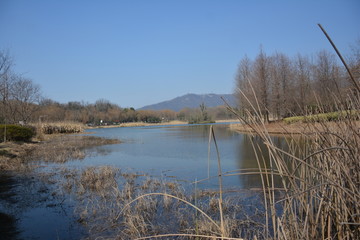 燕雀湖