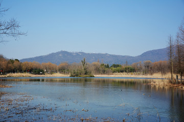 燕雀湖