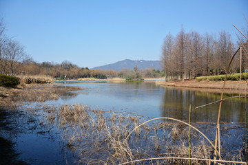 湖泊美景