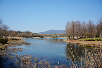 湖泊美景