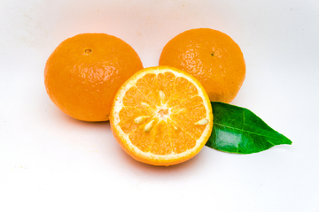 沃柑橘