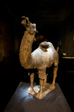 黄釉陶骆驼俑