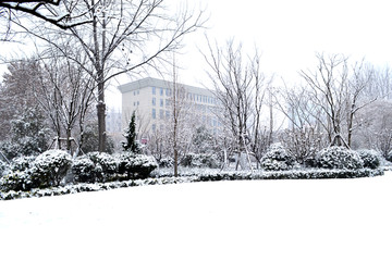 雪景