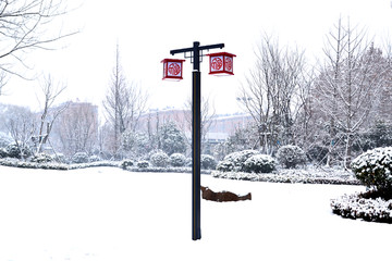 冬天的雪景