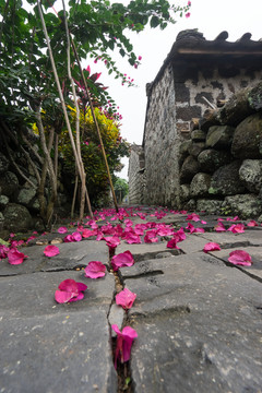 落花满地