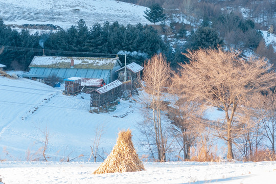 雪村