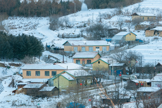 雪村