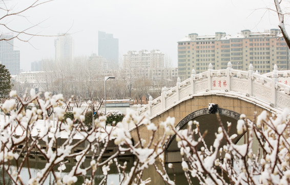 雪景