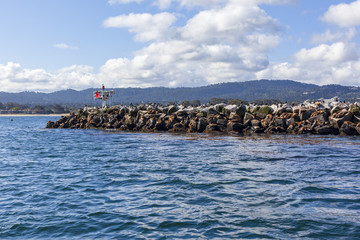 加州蒙特利尔海湾里的海豹