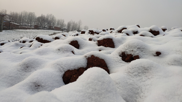 雪