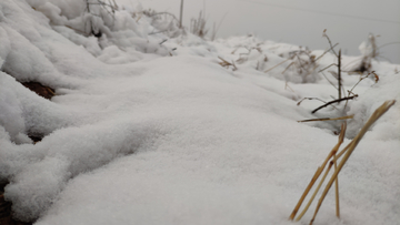 雪